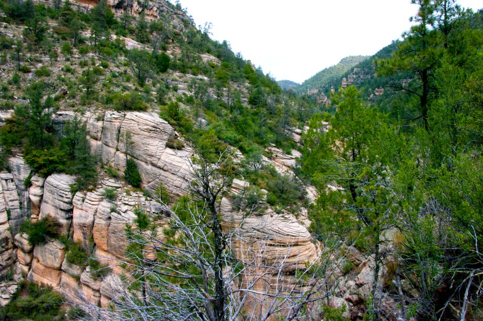 Little L.O. Trail No. 6