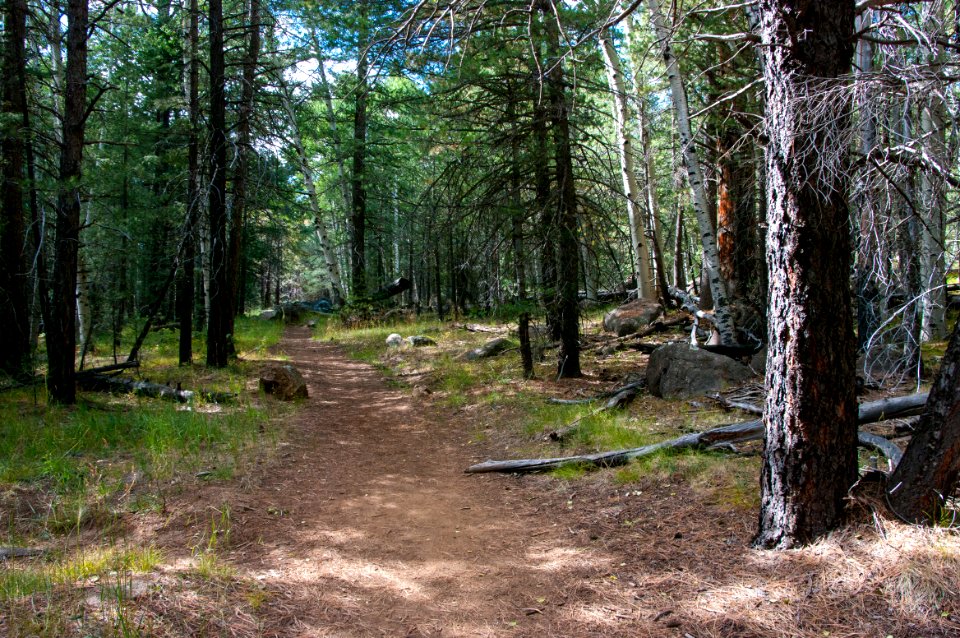 Bismarck Lake Trail