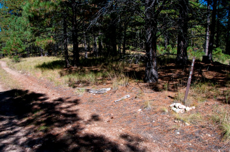 U-Bar Trail No. 28