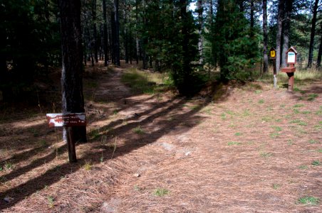 Fred Haught Trailhead at General Springs Cabin photo