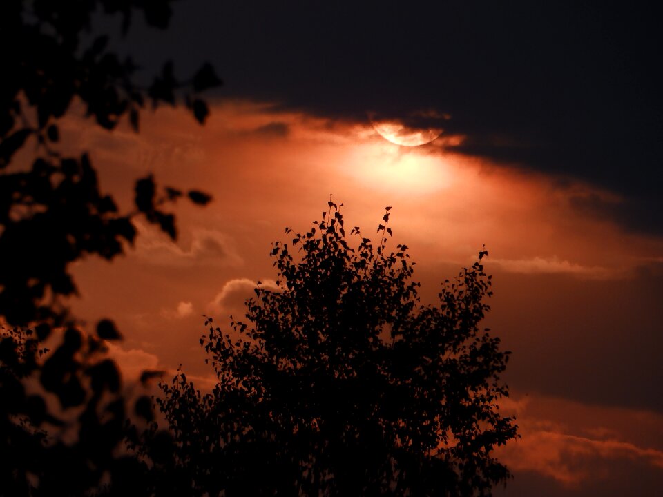 Clouds trees silhouettes