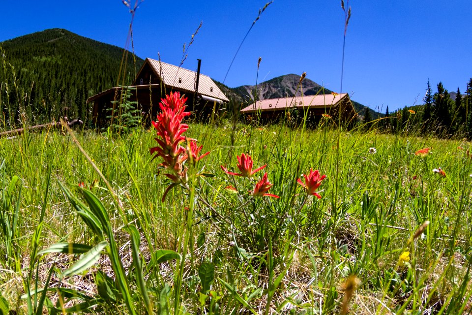 Inner Basin Trail No. 29