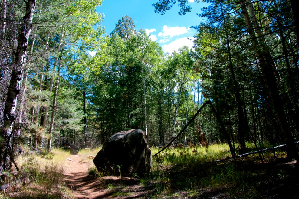 Bismarck Lake Trail