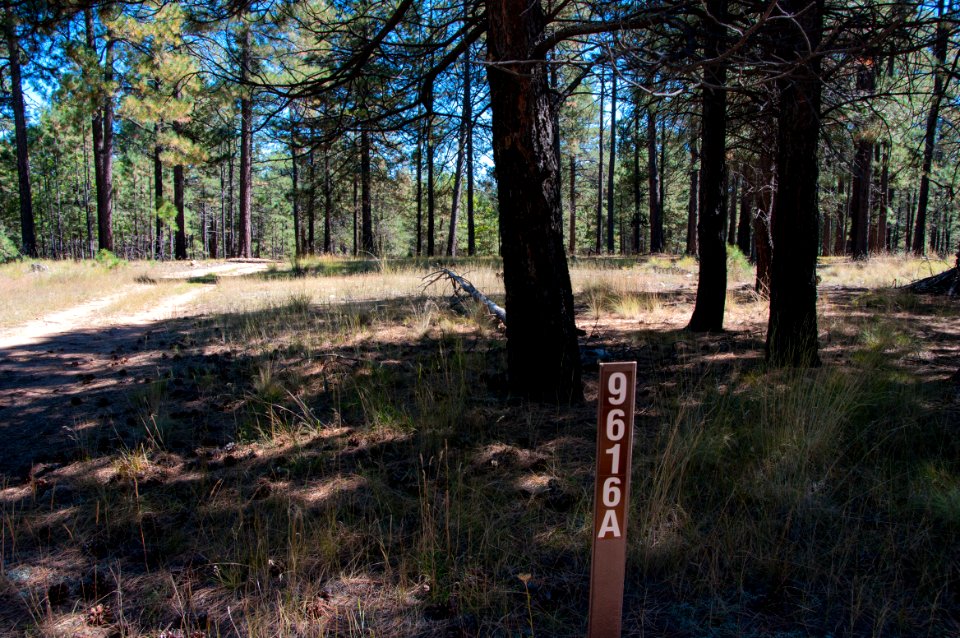 U-Bar Trail No. 28