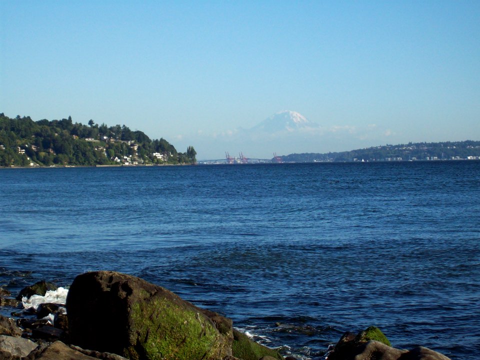 Ranier from Discovery Park