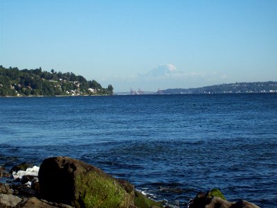 Ranier from Discovery Park