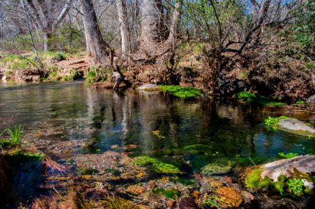 Fossil Springs