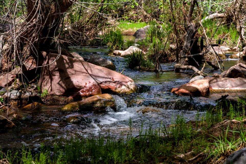 Parsons Trail No. 144