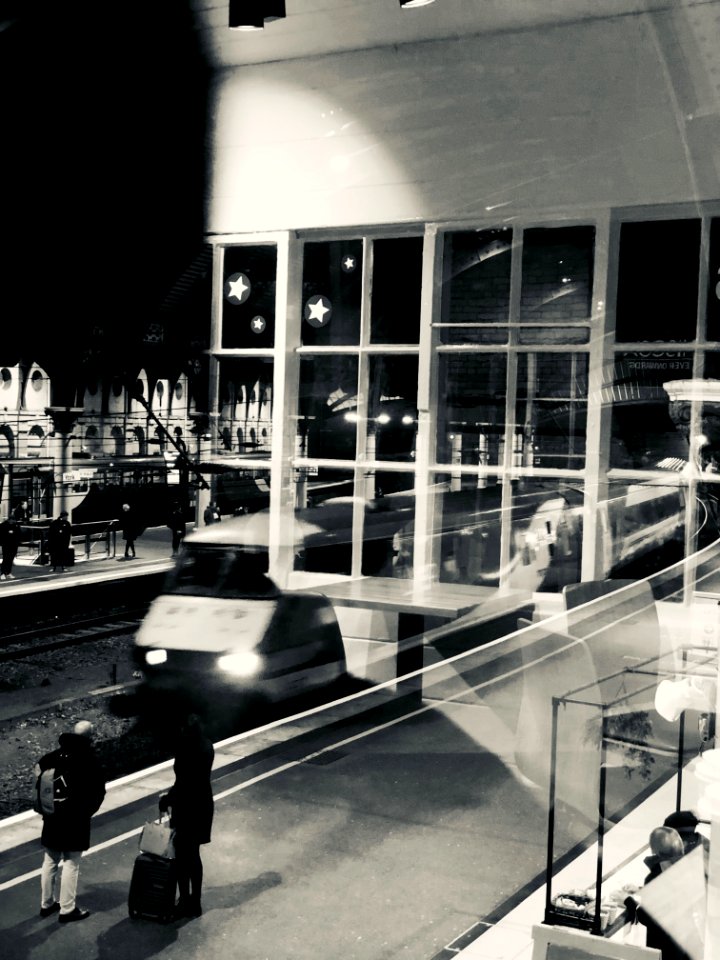 Strangers in the Night