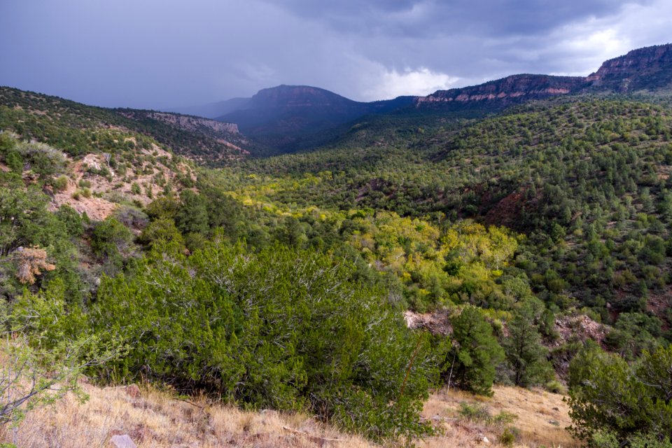 Flume Trail to Old Fossil Creek Dam