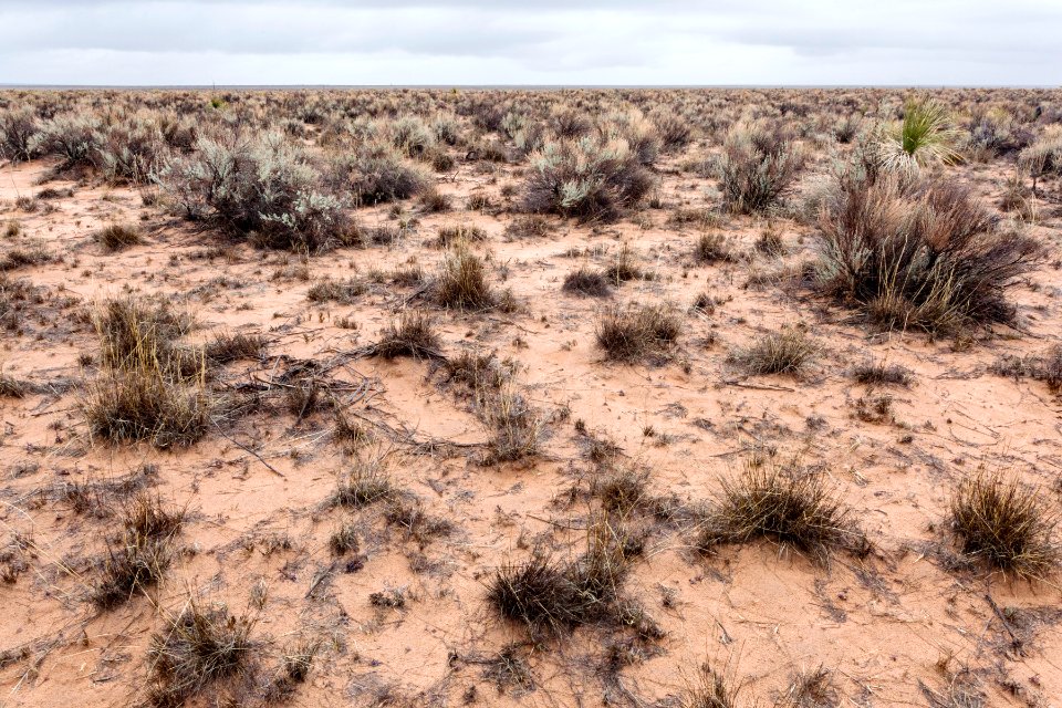 Jornada del Muerto Plain