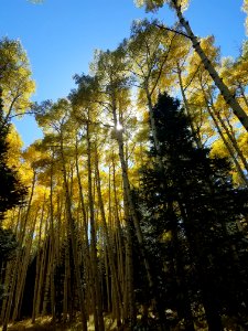 Inner Basin Trail