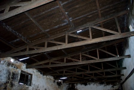Image00010
