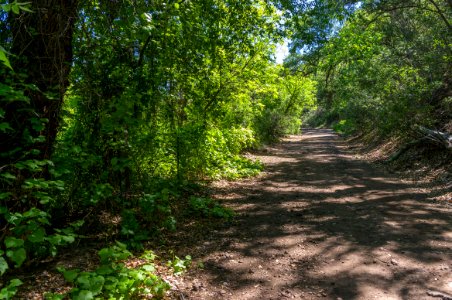 Waterfall Trail on Fossil Creek