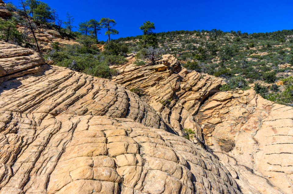 Bear Mountain Trail No. 54