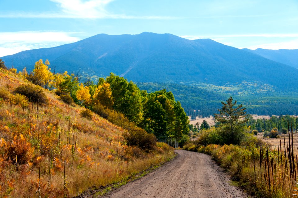 Around the Peaks Loop: Hart Prarie Road