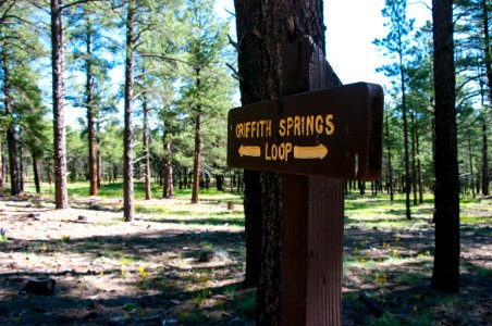 Griffith Spring Trail No. 189