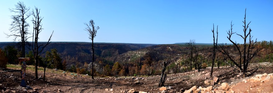 Tinder Fire Burn Scar Panorama photo