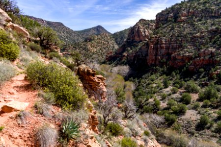 Bell Trail