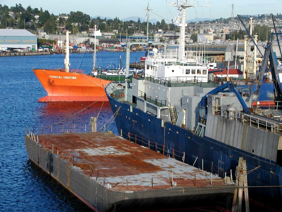 Moored Ships in the Seattle Ship Canal
