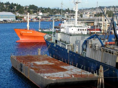 Moored Ships in the Seattle Ship Canal photo