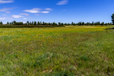 Arizona Trail: Anderson Mesa AZT-30 photo