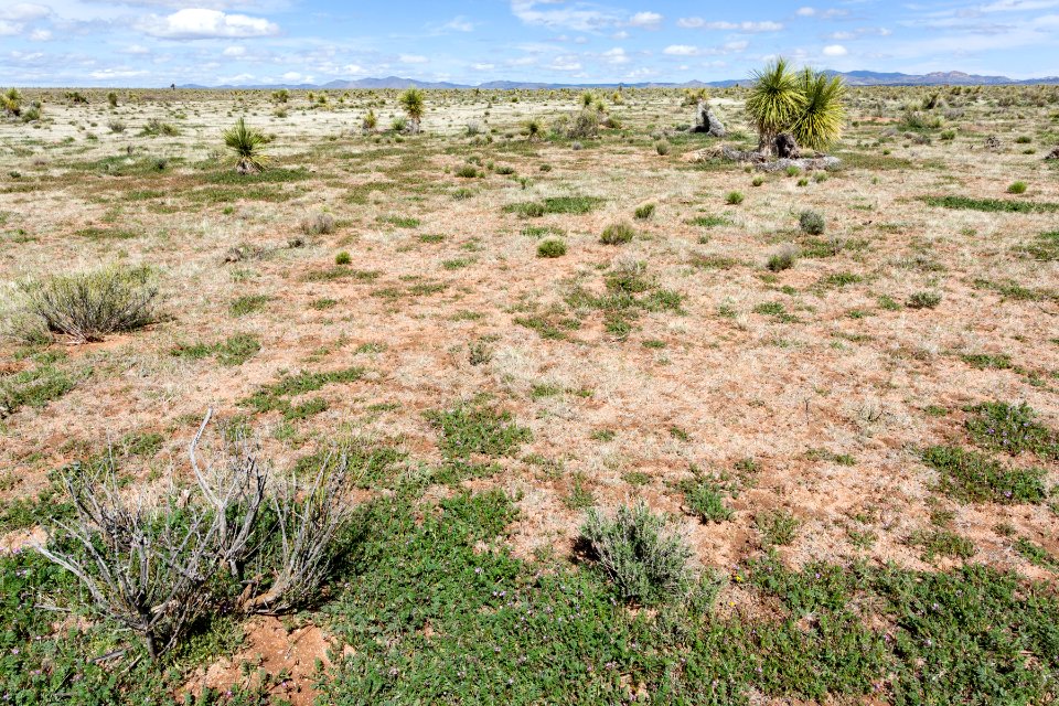 West-northwest of Apache Mountain