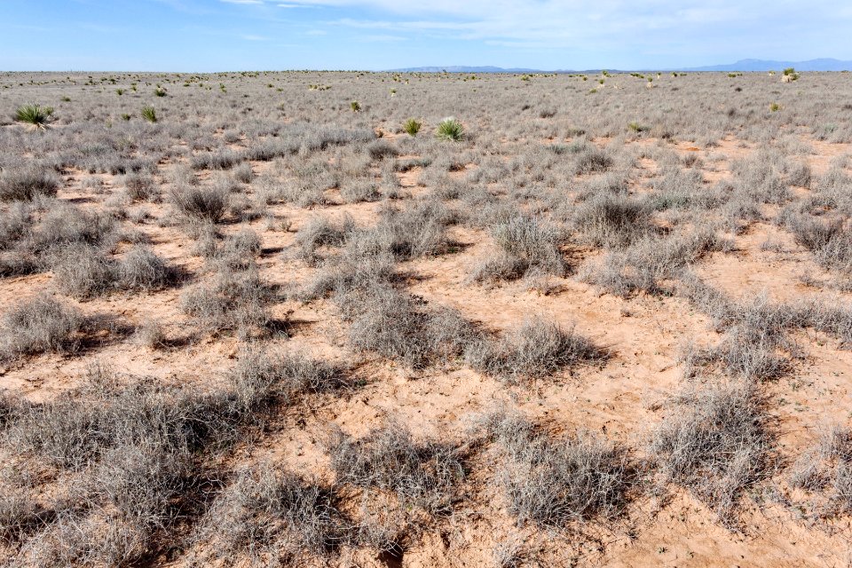 Jornada del Muerto Plain