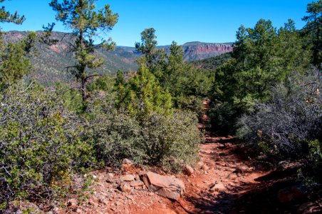 Fossil Springs Trail No. 18 photo