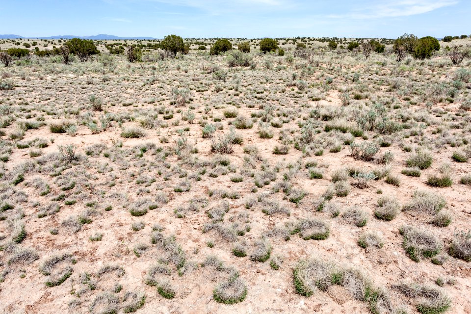 Northeast of Cat Head Mesa