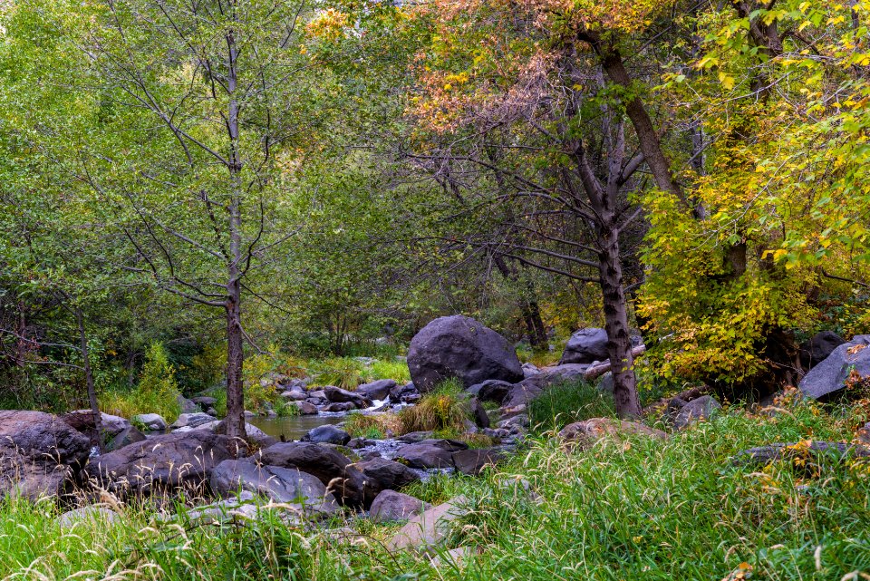 Banjo Bill Picnic Area (October 31, 2017)