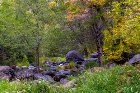 Banjo Bill Picnic Area (October 31, 2017)