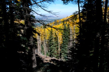 Waterline Trail