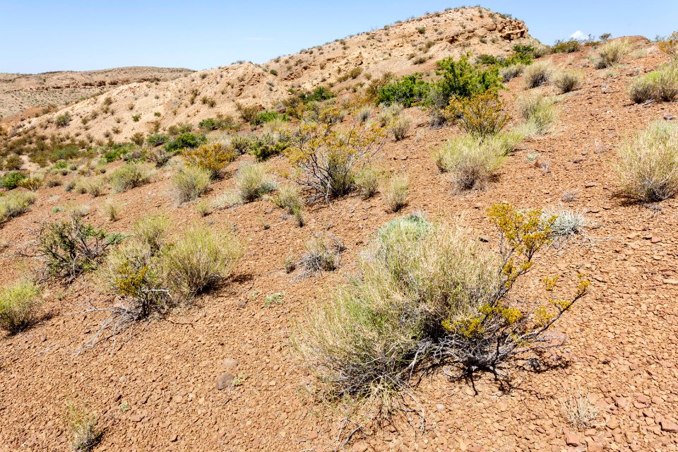 Near San Pedro Arroyo