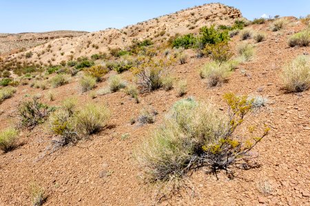 Near San Pedro Arroyo