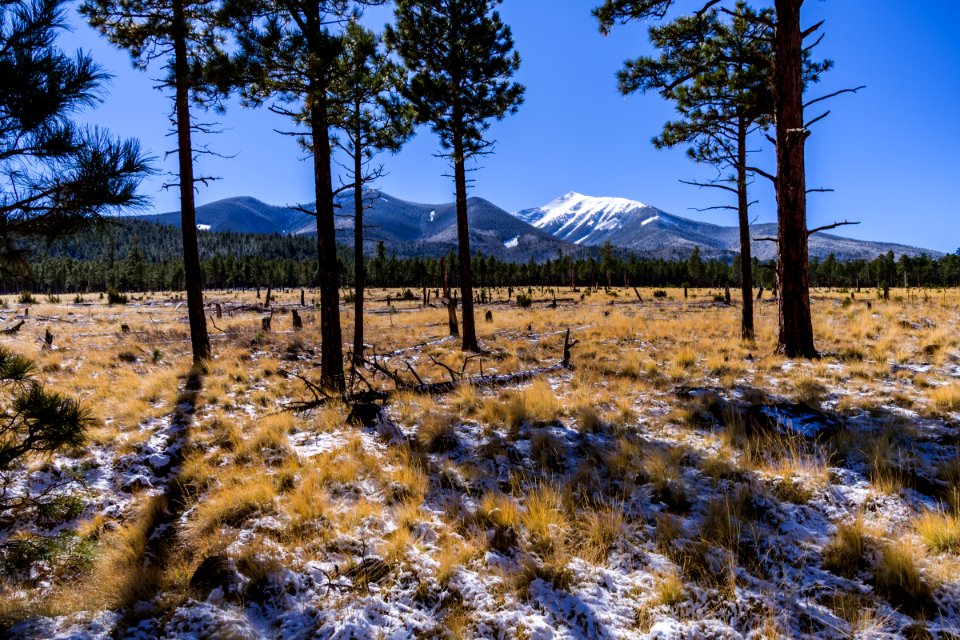 Winter 2016: San Francisco Peaks