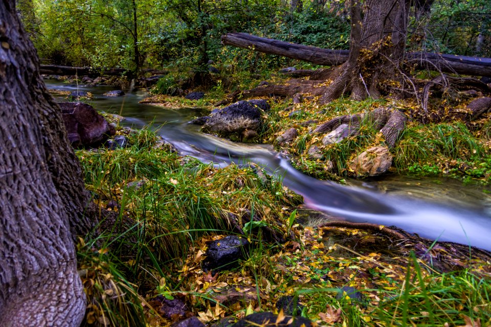 Autumn at Fossil Springs