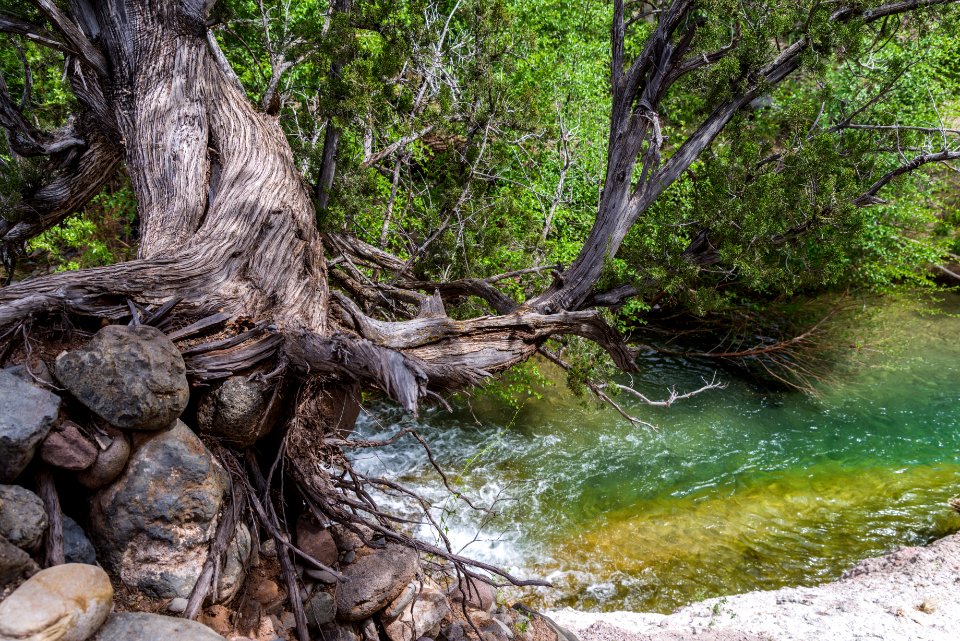 Mazatzal on Fossil Creek