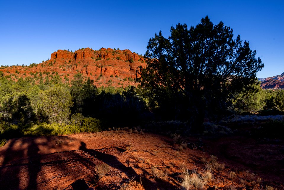 Turkey Creek Trail