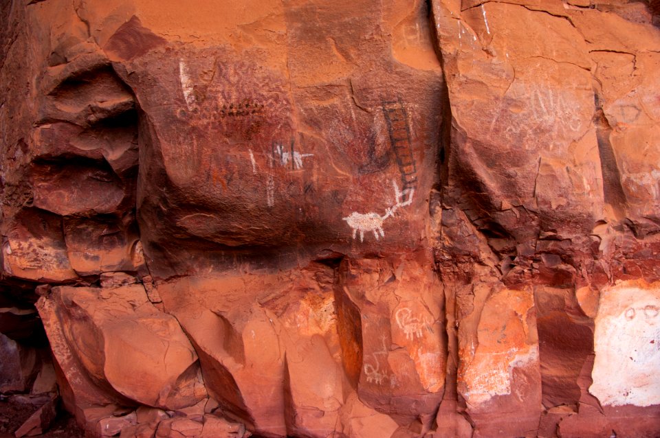 Palatki Heritage Site