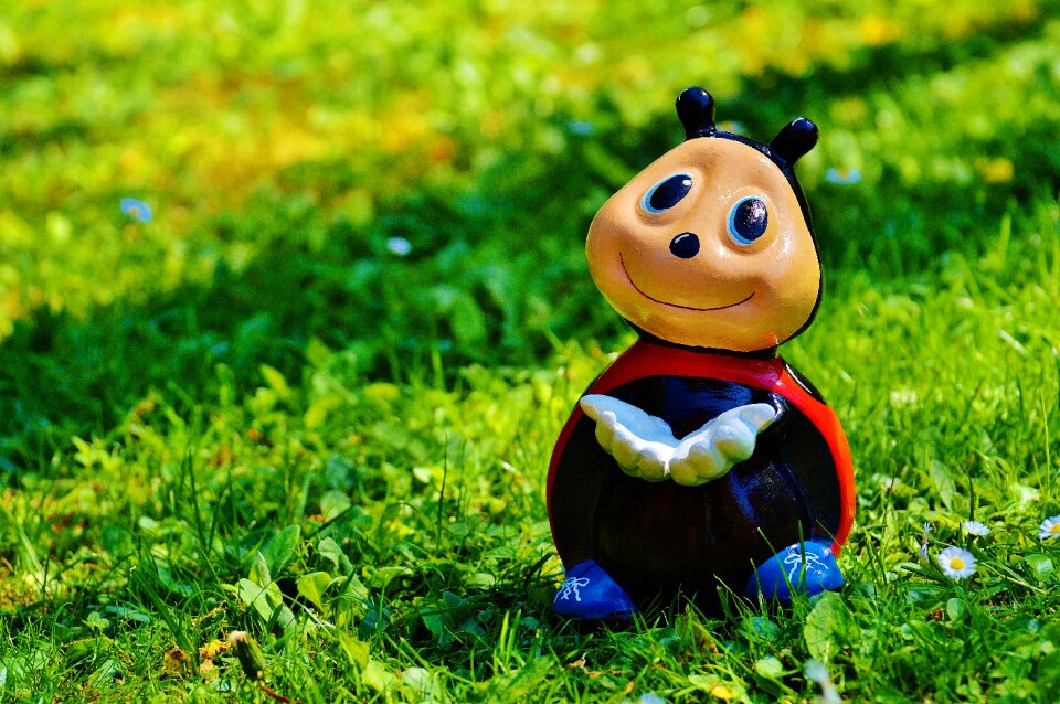 Lucky ladybug color sweet