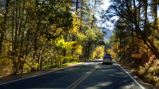 Fall Color in Oak Creek Canyon (November 8, 2017)