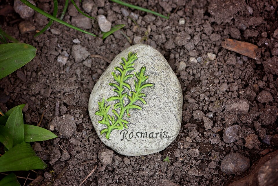 Stone rosemary herbal stone
