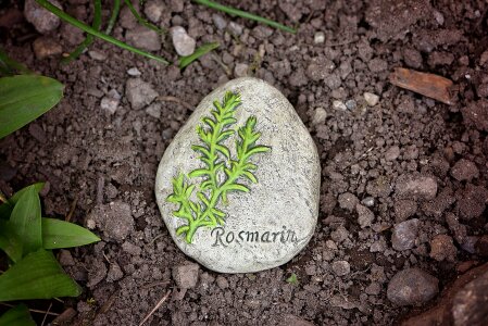 Stone rosemary herbal stone