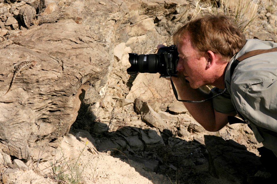 Joe Forks and Sceloporus bimaculatus