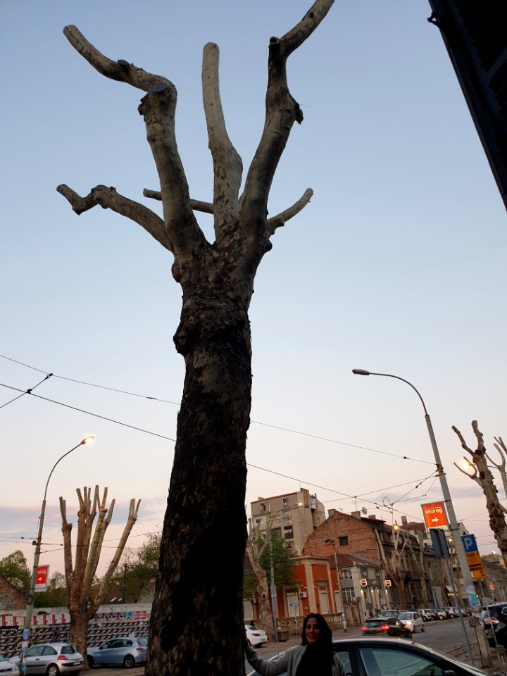 Belgrade 2019
