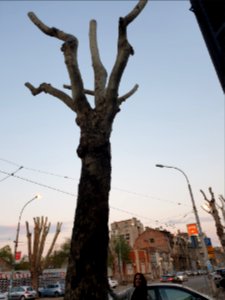Belgrade 2019
