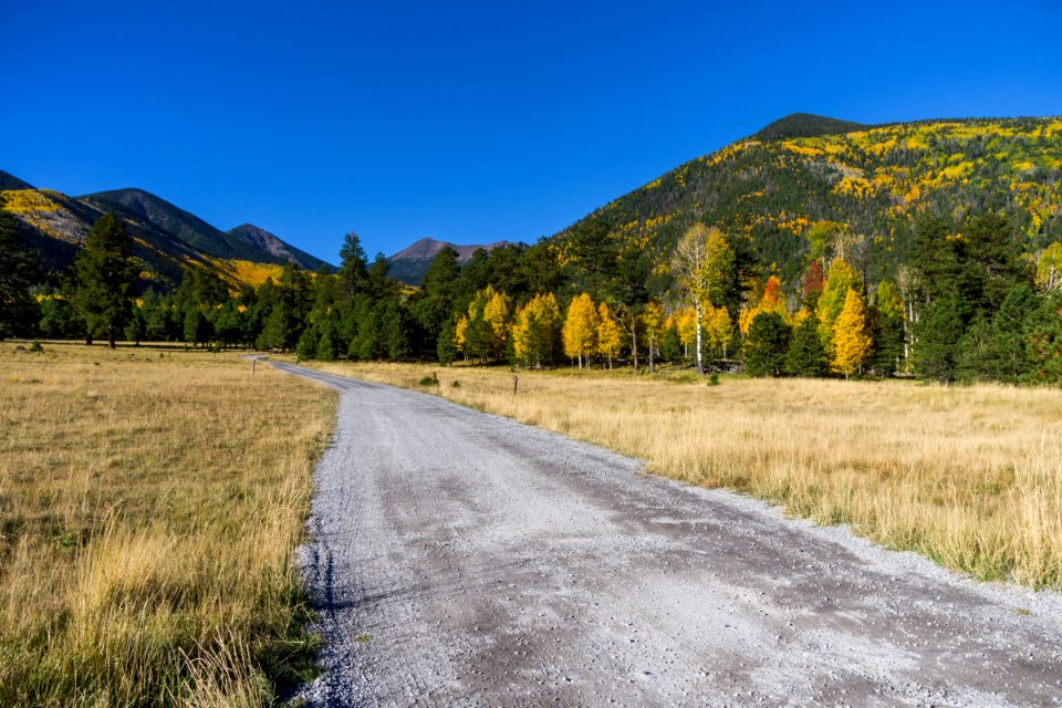 Lockett Meadow