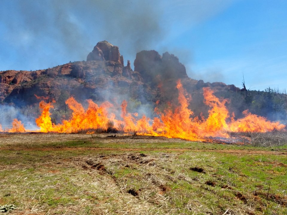 Wildland Fire Training at Crescent Moon