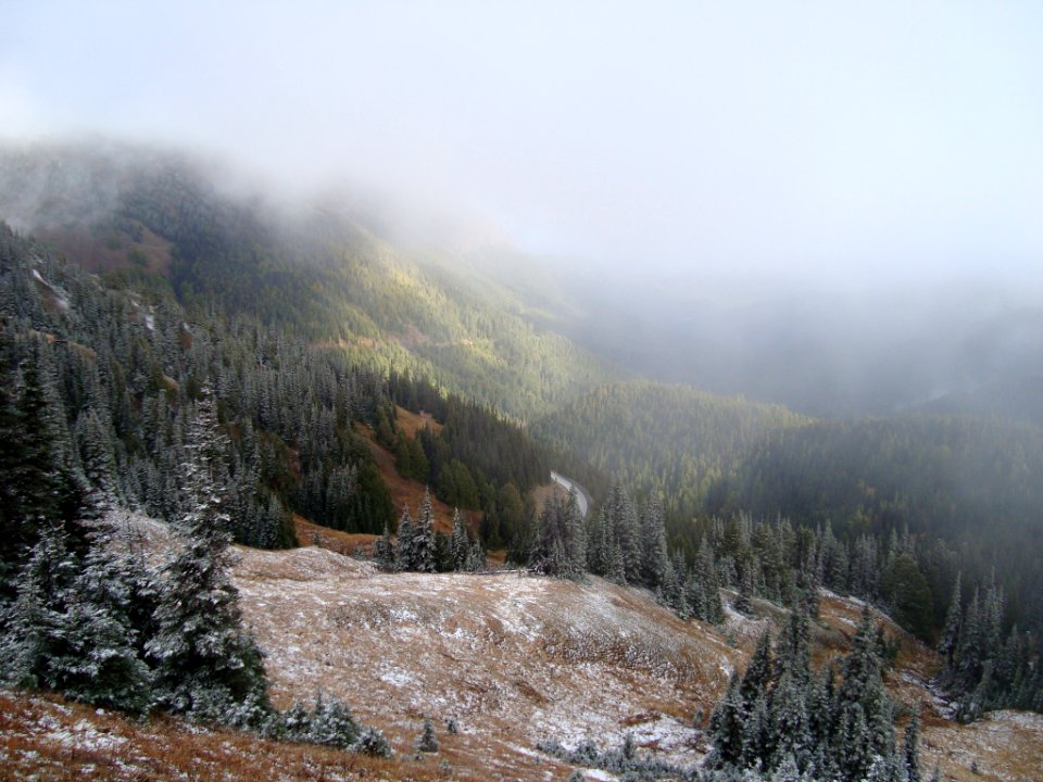 Hurricane Ridge in October Snow Squall